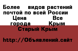 Более200 видов растений почтой по всей России › Цена ­ 100-500 - Все города  »    . Крым,Старый Крым